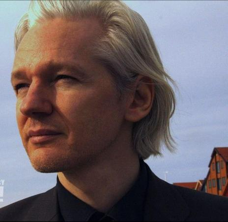 Assange 241