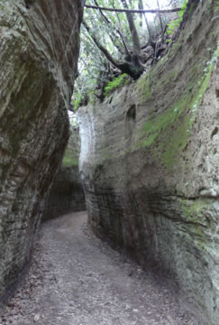 Vie Cave di Sovana rete viaria origine etrusca