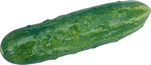 cover cucumber