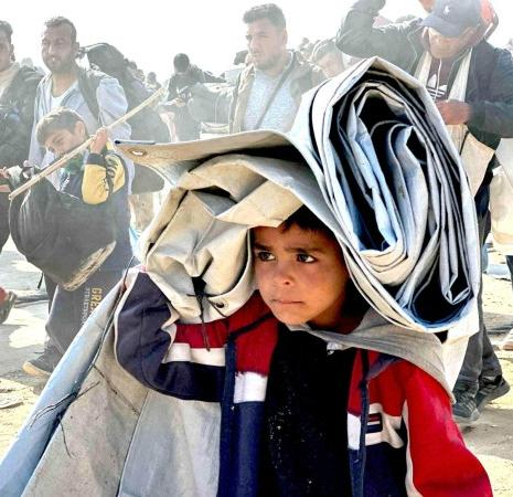 palestinaw